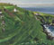 Küstenhang bei Porth Ledden, Cornwall (England), Öl auf Malpappe, 41x50cm, 26.6. 2008, Stefan S. Schmidt