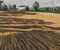Schatten hinter Gasques (Südfrankreich), Öl auf Nessel/Hartfaser, 31x55cm, 15.7. 2010, Stefan S. Schmidt