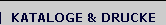 Kataloge & Drucke